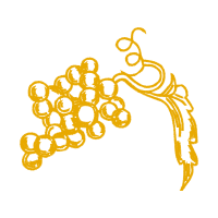 Illustration Other