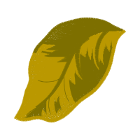 Illustration Other