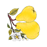 Illustration Other
