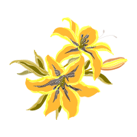 Illustration Other