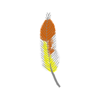 Illustration Other