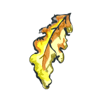 Illustration Other