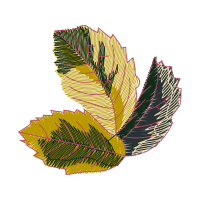 Illustration Other