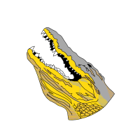 Illustration Other