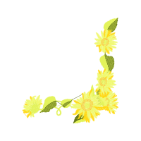 Illustration Other
