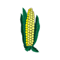 Illustration Other