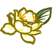 Illustration Other