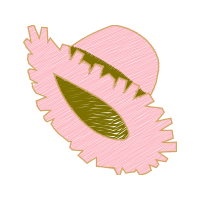 Illustration Other