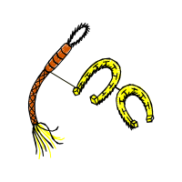 Illustration Other