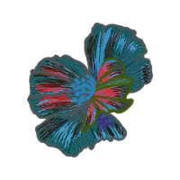 Illustration Other