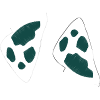 Illustration Other