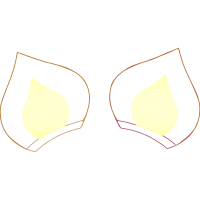 Illustration Other