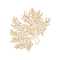Illustration Other