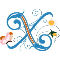 Illustration Other