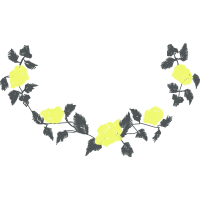 Illustration Other