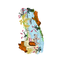 Illustration Other