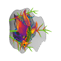 Illustration Other