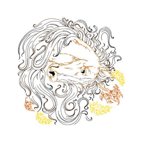 Illustration Other