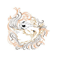 Illustration Other