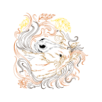 Illustration Other