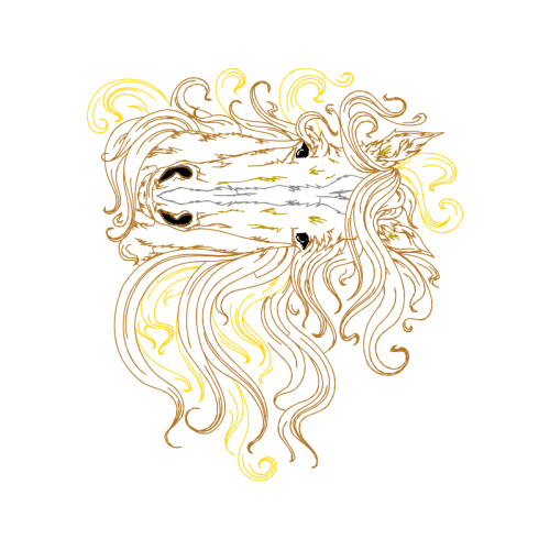 Illustration Other