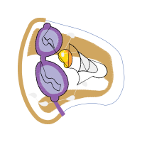 Illustration Other