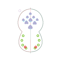 Illustration Other