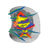 Illustration Other