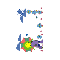 Illustration Other