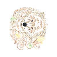 Illustration Other