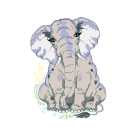 Indian Elephant Other