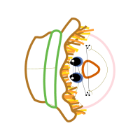 Jewellery Other