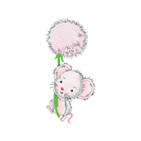 Koala Other