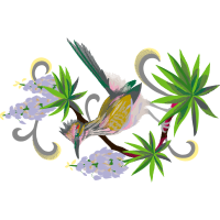 Lacerta Other