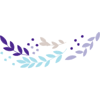Lepidoptera Other