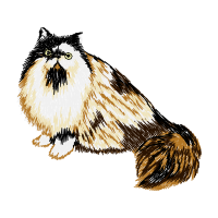 Lhasa Apso Other