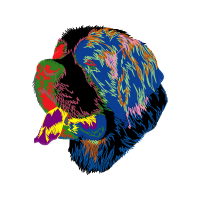 Lhasa Apso Other