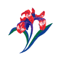 Lilies Other