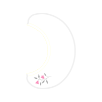 Lily Other
