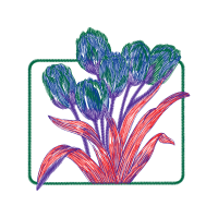 Lily Other