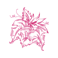 Line Art Other