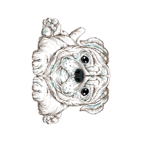 Line Art Other