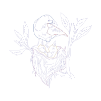 Line Art Other