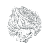 Line Art Other