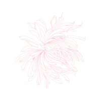 Line Art Other