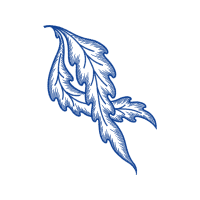Line Art Other