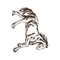 Line Art Other