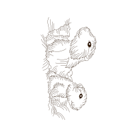 Line Art Other