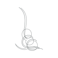 Line Art Other