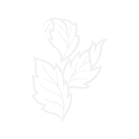 Line Art Other